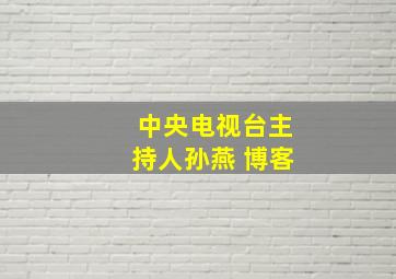 中央电视台主持人孙燕 博客